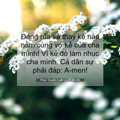 Picture 07 - Phục Truyền Luật Lệ 27:20 VIE - Đáng rủa sả thay kẻ nào nằm cùng vợ - Bible Verse Picture