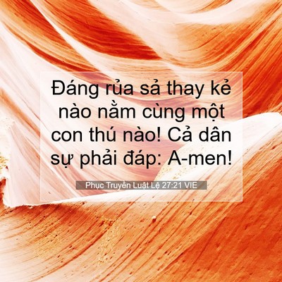 Picture 07 - Phục Truyền Luật Lệ 27:21 VIE - Đáng rủa sả thay kẻ nào nằm cùng - Bible Verse Picture