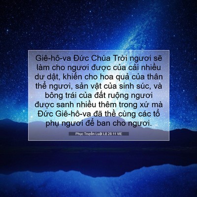 Picture 07 - Phục Truyền Luật Lệ 28:11 VIE - Giê-hô-va Đức Chúa Trời ngươi sẽ làm - Bible Verse Picture
