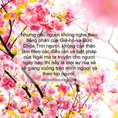 Picture 07 - Phục Truyền Luật Lệ 28:15 VIE - Nhưng nếu ngươi không nghe theo tiếng - Bible Verse Picture