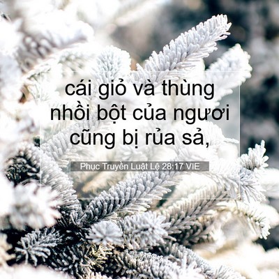 Picture 07 - Phục Truyền Luật Lệ 28:17 VIE - cái giỏ và thùng nhồi bột của ngươi - Bible Verse Picture