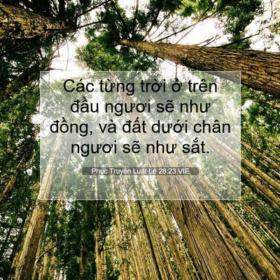 Picture 07 - Phục Truyền Luật Lệ 28:23 VIE - Các từng trời ở trên đầu ngươi sẽ - Bible Verse Picture