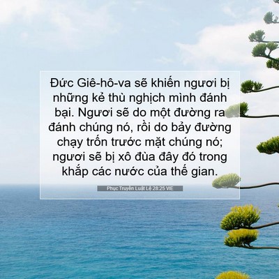Picture 07 - Phục Truyền Luật Lệ 28:25 VIE - Đức Giê-hô-va sẽ khiến ngươi bị - Bible Verse Picture