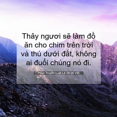 Picture 07 - Phục Truyền Luật Lệ 28:26 VIE - Thây ngươi sẽ làm đồ ăn cho chim trên - Bible Verse Picture