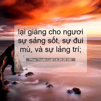 Picture 07 - Phục Truyền Luật Lệ 28:28 VIE - lại giáng cho ngươi sự sảng sốt, sự - Bible Verse Picture