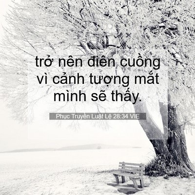Picture 07 - Phục Truyền Luật Lệ 28:34 VIE - trở nên điên cuồng vì cảnh tượng - Bible Verse Picture