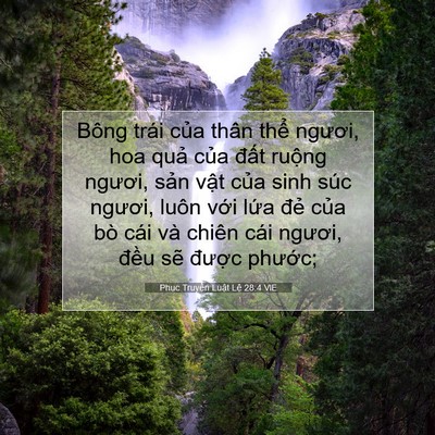 Picture 07 - Phục Truyền Luật Lệ 28:4 VIE - Bông trái của thân thể ngươi, hoa quả - Bible Verse Picture