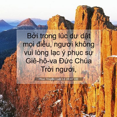 Picture 07 - Phục Truyền Luật Lệ 28:47 VIE - Bởi trong lúc dư dật mọi điều, ngươi - Bible Verse Picture