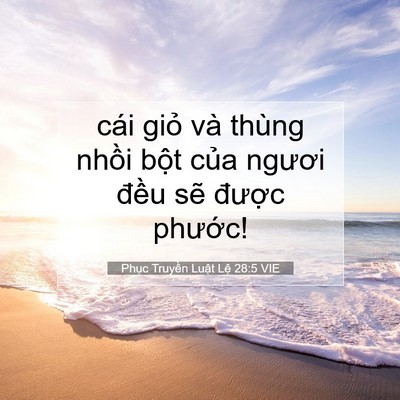 Picture 07 - Phục Truyền Luật Lệ 28:5 VIE - cái giỏ và thùng nhồi bột của ngươi - Bible Verse Picture