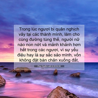 Picture 07 - Phục Truyền Luật Lệ 28:56 VIE - Trong lúc ngươi bị quân nghịch vây tại - Bible Verse Picture