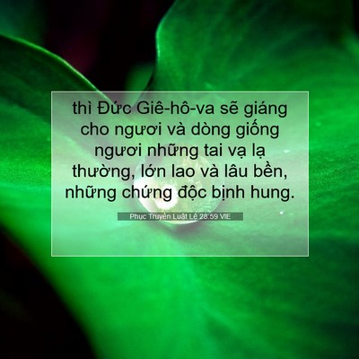 Picture 07 - Phục Truyền Luật Lệ 28:59 VIE - thì Đức Giê-hô-va sẽ giáng cho ngươi - Bible Verse Picture