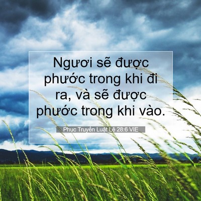 Picture 07 - Phục Truyền Luật Lệ 28:6 VIE - Ngươi sẽ được phước trong khi đi ra, - Bible Verse Picture