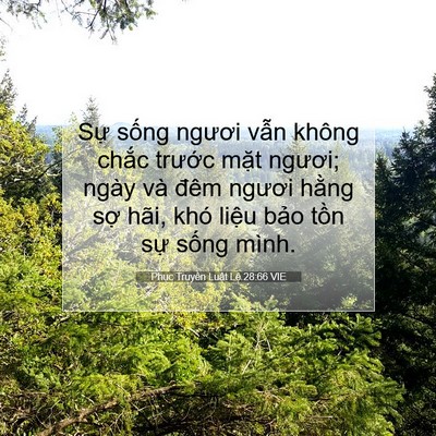 Picture 07 - Phục Truyền Luật Lệ 28:66 VIE - Sự sống ngươi vẫn không chắc trước - Bible Verse Picture