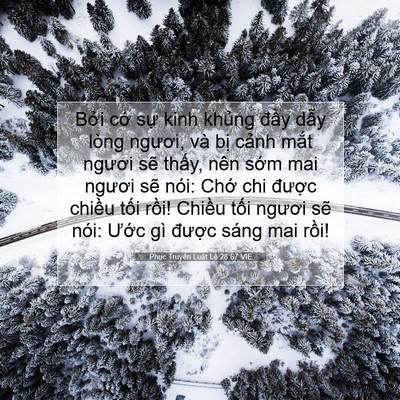 Picture 07 - Phục Truyền Luật Lệ 28:67 VIE - Bởi cớ sự kinh khủng đầy dẫy lòng - Bible Verse Picture
