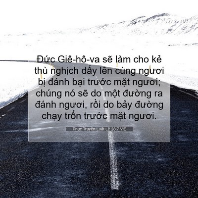 Picture 07 - Phục Truyền Luật Lệ 28:7 VIE - Đức Giê-hô-va sẽ làm cho kẻ thù - Bible Verse Picture