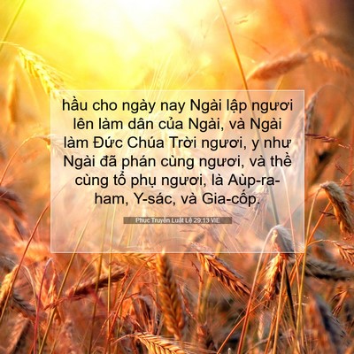 Picture 07 - Phục Truyền Luật Lệ 29:13 VIE - hầu cho ngày nay Ngài lập ngươi lên làm - Bible Verse Picture