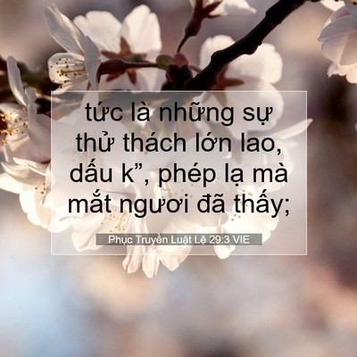 Picture 07 - Phục Truyền Luật Lệ 29:3 VIE - tức là những sự thử thách lớn lao, - Bible Verse Picture
