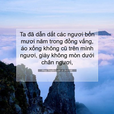 Picture 07 - Phục Truyền Luật Lệ 29:5 VIE - Ta đã dẫn dắt các ngươi bốn mươi - Bible Verse Picture