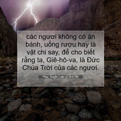 Picture 07 - Phục Truyền Luật Lệ 29:6 VIE - các ngươi không có ăn bánh, uống rượu - Bible Verse Picture