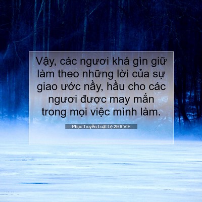 Picture 07 - Phục Truyền Luật Lệ 29:9 VIE - Vậy, các ngươi khá gìn giữ làm theo - Bible Verse Picture