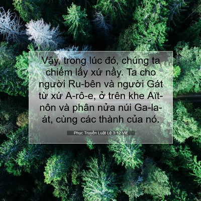 Picture 07 - Phục Truyền Luật Lệ 3:12 VIE - Vậy, trong lúc đó, chúng ta chiếm lấy - Bible Verse Picture