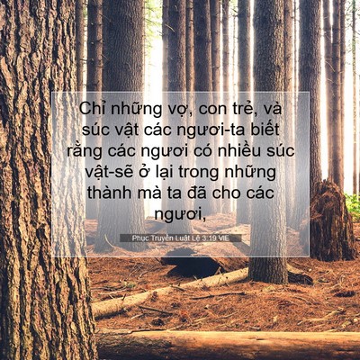 Picture 07 - Phục Truyền Luật Lệ 3:19 VIE - Chỉ những vợ, con trẻ, và súc vật - Bible Verse Picture