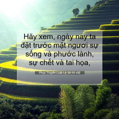 Picture 07 - Phục Truyền Luật Lệ 30:15 VIE - Hãy xem, ngày nay ta đặt trước mặt - Bible Verse Picture