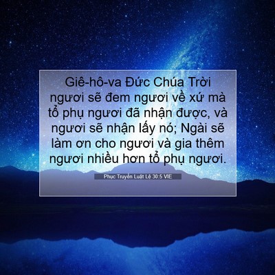 Picture 07 - Phục Truyền Luật Lệ 30:5 VIE - Giê-hô-va Đức Chúa Trời ngươi sẽ đem - Bible Verse Picture