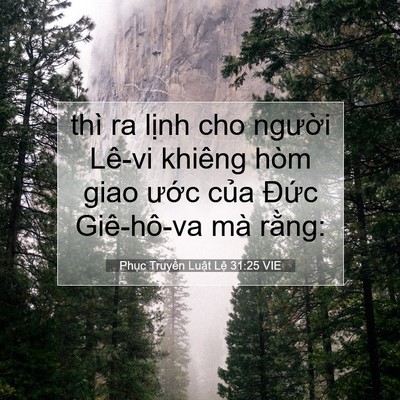 Picture 07 - Phục Truyền Luật Lệ 31:25 VIE - thì ra lịnh cho người Lê-vi khiêng hòm - Bible Verse Picture