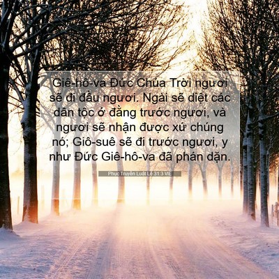 Picture 07 - Phục Truyền Luật Lệ 31:3 VIE - Giê-hô-va Đức Chúa Trời ngươi sẽ đi - Bible Verse Picture