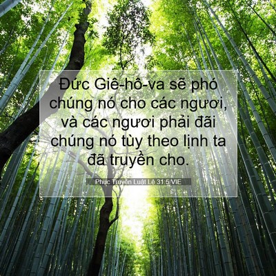 Picture 07 - Phục Truyền Luật Lệ 31:5 VIE - Đức Giê-hô-va sẽ phó chúng nó cho các - Bible Verse Picture