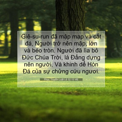 Picture 07 - Phục Truyền Luật Lệ 32:15 VIE - Giê-su-run đã mập mạp và cất đá, - Bible Verse Picture