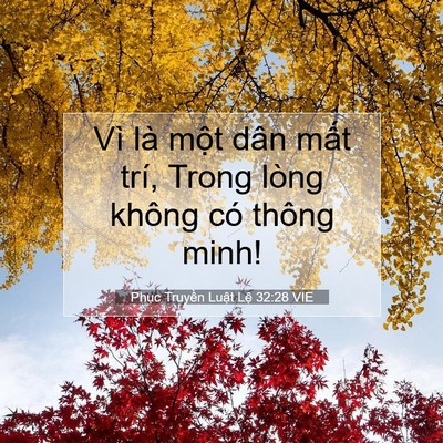 Picture 07 - Phục Truyền Luật Lệ 32:28 VIE - Vì là một dân mất trí, Trong lòng không - Bible Verse Picture