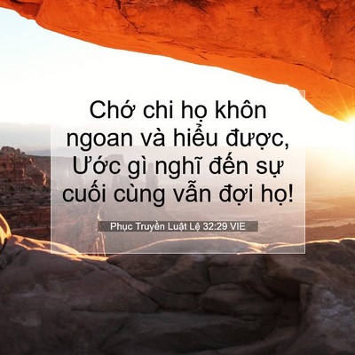 Picture 07 - Phục Truyền Luật Lệ 32:29 VIE - Chớ chi họ khôn ngoan và hiểu được, - Bible Verse Picture