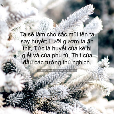 Picture 07 - Phục Truyền Luật Lệ 32:42 VIE - Ta sẽ làm cho các mũi tên ta say huyết; - Bible Verse Picture