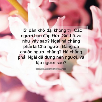 Picture 07 - Phục Truyền Luật Lệ 32:6 VIE - Hỡi dân khờ dại không trí, Các ngươi - Bible Verse Picture