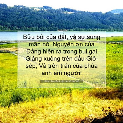 Picture 07 - Phục Truyền Luật Lệ 33:16 VIE - Bửu bối của đất, và sự sung mãn nó. - Bible Verse Picture
