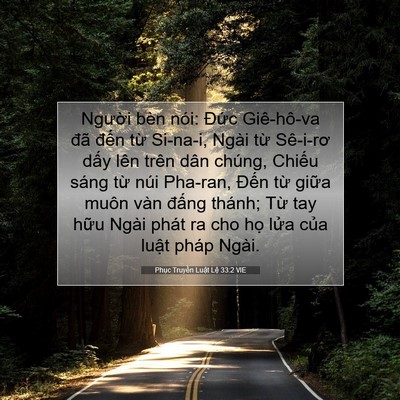 Picture 07 - Phục Truyền Luật Lệ 33:2 VIE - Người bèn nói: Đức Giê-hô-va đã - Bible Verse Picture