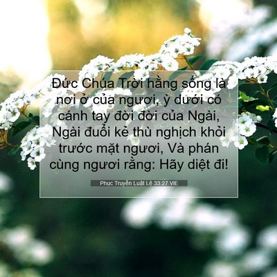 Picture 07 - Phục Truyền Luật Lệ 33:27 VIE - Đức Chúa Trời hằng sống là nơi ở - Bible Verse Picture