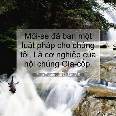 Picture 07 - Phục Truyền Luật Lệ 33:4 VIE - Môi-se đã ban một luật pháp cho chúng - Bible Verse Picture