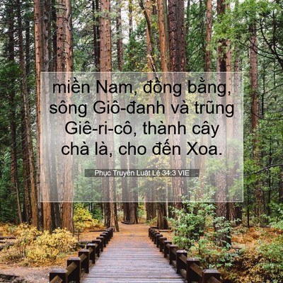 Picture 07 - Phục Truyền Luật Lệ 34:3 VIE - miền Nam, đồng bằng, sông Giô-đanh và - Bible Verse Picture