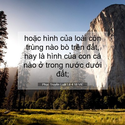 Picture 07 - Phục Truyền Luật Lệ 4:18 VIE - hoặc hình của loài côn trùng nào bò - Bible Verse Picture