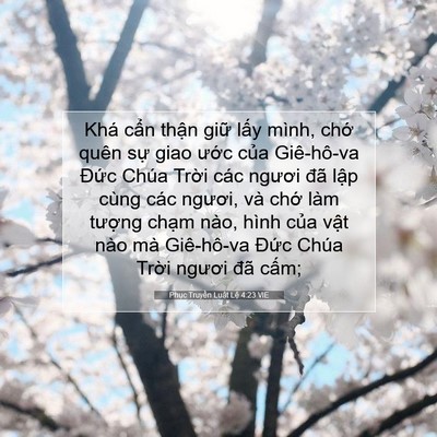Picture 07 - Phục Truyền Luật Lệ 4:23 VIE - Khá cẩn thận giữ lấy mình, chớ quên - Bible Verse Picture