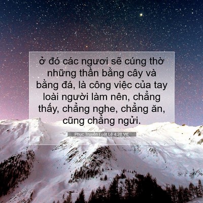 Picture 07 - Phục Truyền Luật Lệ 4:28 VIE - ở đó các ngươi sẽ cúng thờ những - Bible Verse Picture