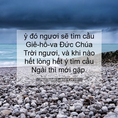 Picture 07 - Phục Truyền Luật Lệ 4:29 VIE - ỳ đó ngươi sẽ tìm cầu Giê-hô-va - Bible Verse Picture