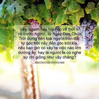 Picture 07 - Phục Truyền Luật Lệ 4:32 VIE - Vậy, ngươi hãy hỏi học về thời k” - Bible Verse Picture