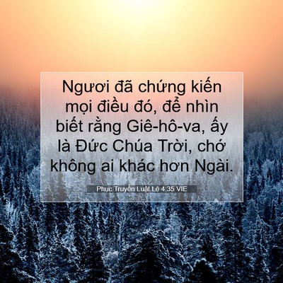 Picture 07 - Phục Truyền Luật Lệ 4:35 VIE - Ngươi đã chứng kiến mọi điều đó, - Bible Verse Picture