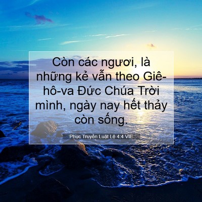 Picture 07 - Phục Truyền Luật Lệ 4:4 VIE - Còn các ngươi, là những kẻ vẫn theo - Bible Verse Picture