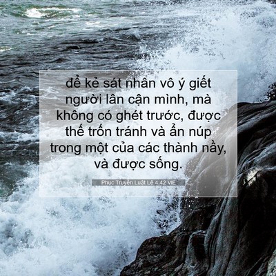 Picture 07 - Phục Truyền Luật Lệ 4:42 VIE - để kẻ sát nhân vô ý giết người lân - Bible Verse Picture