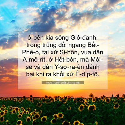 Picture 07 - Phục Truyền Luật Lệ 4:46 VIE - ở bên kia sông Giô-đanh, trong trũng - Bible Verse Picture
